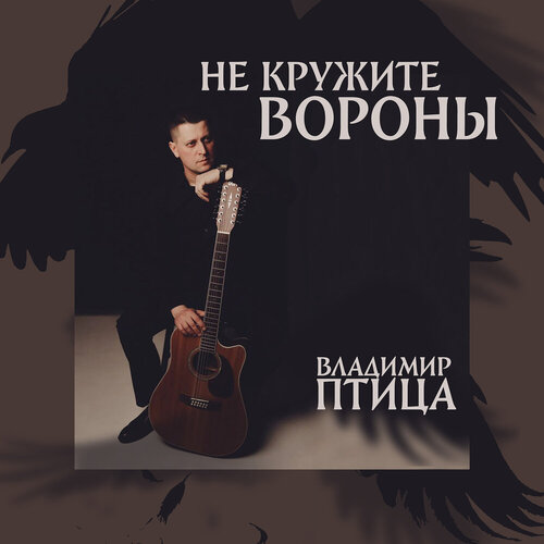 Владимир Птица - Не Кружите Вороны