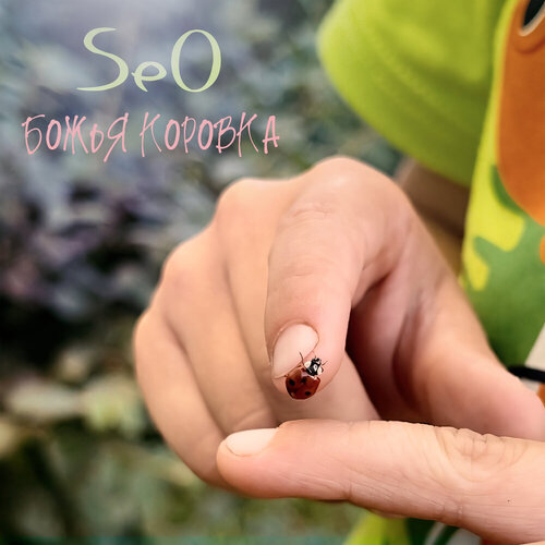 Seo - Божья коровка