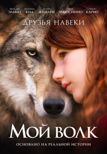 постер фильма Мой волк / Mystère (2021)