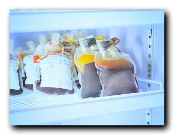 Холодильные установки для хранения донорской крови