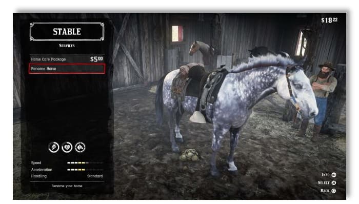 change the name of your horse