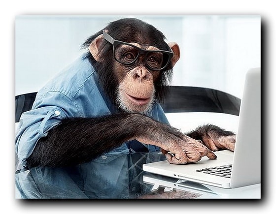 обезьяна и компьютер