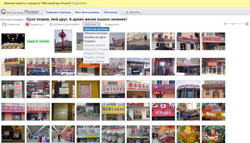 Картинки в google picasa, ссылка на картинку, трафик с картинок, как получить трафик, получить трафик бесплатно.